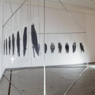 kauno-bienal_2013_fotograf-kristina-yit