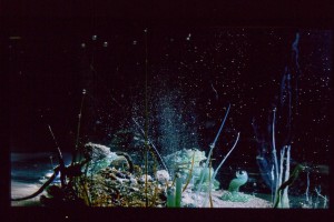 Hicham Berrada, Pranašiškas ženklas, 2007-2015. Menininko ir "kamel mennour gallery" nuosavybė. Foto: Remio Ščerbausko