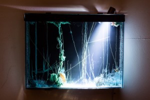 Hicham Berrada, Présage, 2007-2015. Courtesy of “kamel mennour gallery” and the artist. Photo: Remis Ščerbauskas